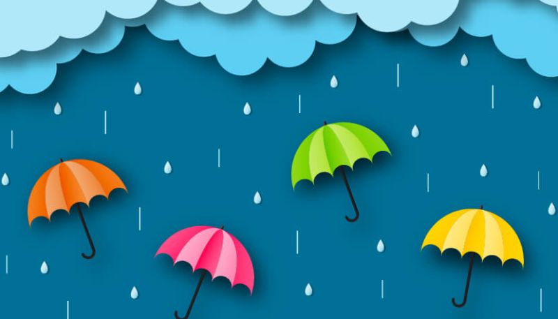 THE RAINY SEASON
