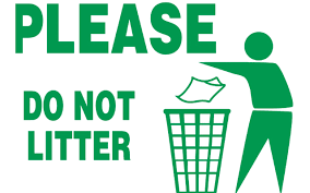 Introduction to cleaniliness essay