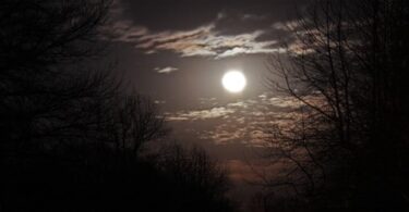 essay on A-Moonlit-Night