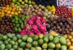 essay on delicious-indian-fruits