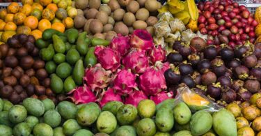essay on delicious-indian-fruits