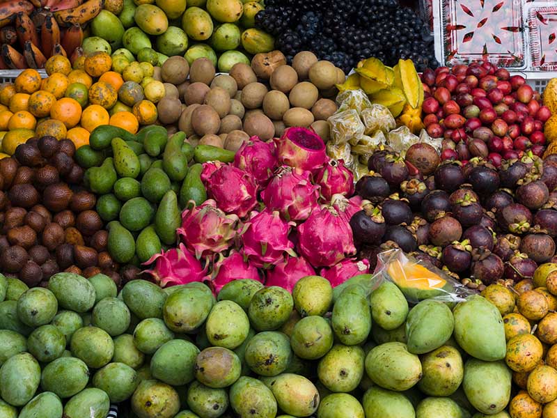 essay on delicious-indian-fruits