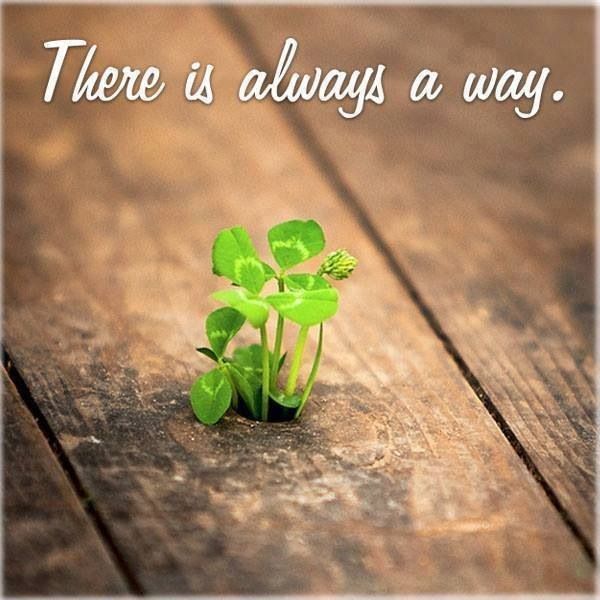 jahan chah wahan raah where there is a will there is way