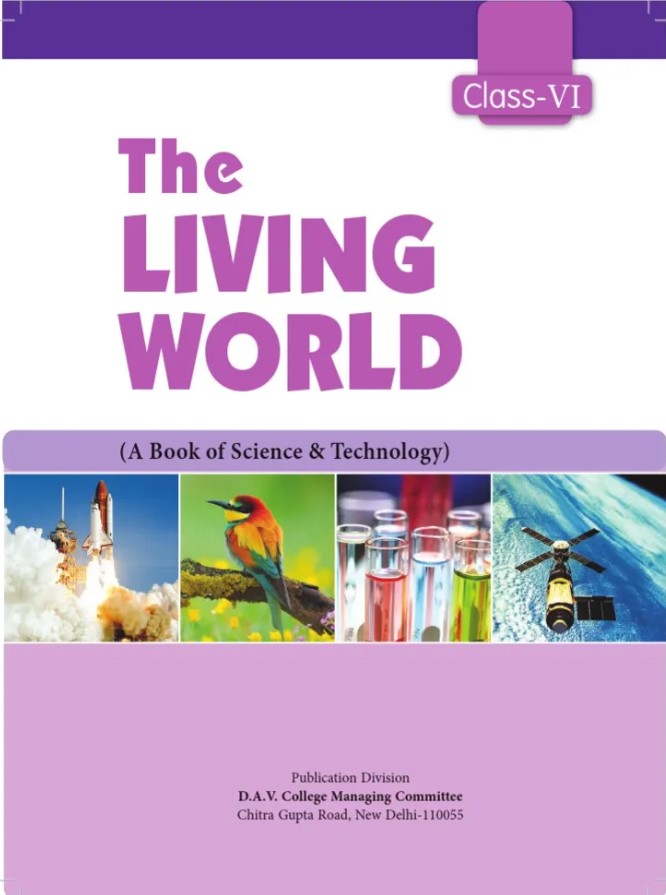 The Living world Class VI the best Solutions