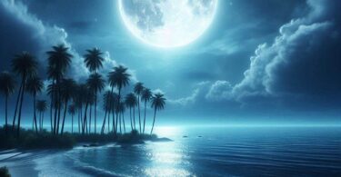 Chandani raat ka varnan hindi essay