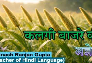 Kalgi Baajare Ki By Ageya The Best Explanation